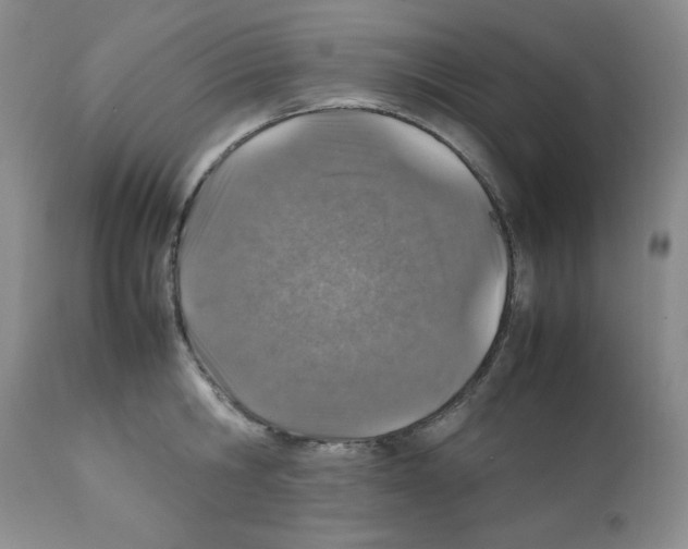 X0000112010806200909141124