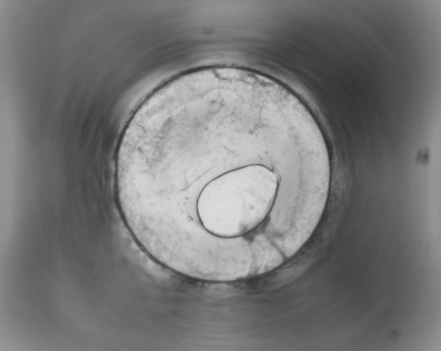 X0000112010807200909141124