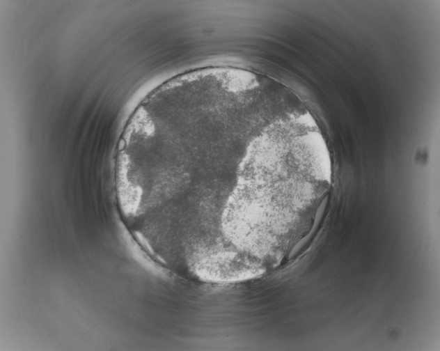 X0000112010808200909141124