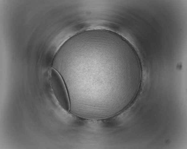 X0000112010809200909141124