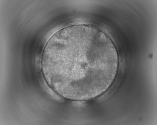 X0000112010810200909141124