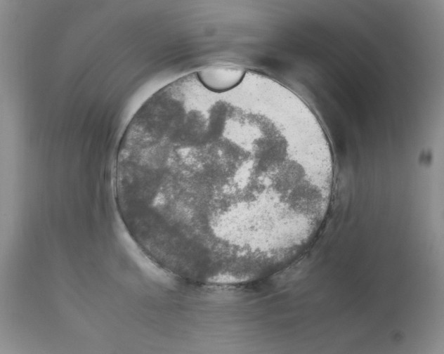 X0000112010811200909141124