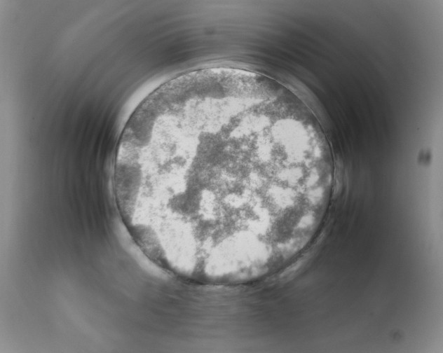 X0000112010812200909141124