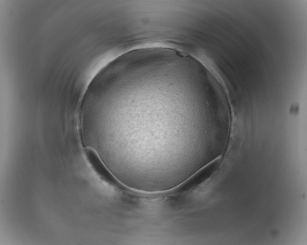 X0000112010813200909141124
