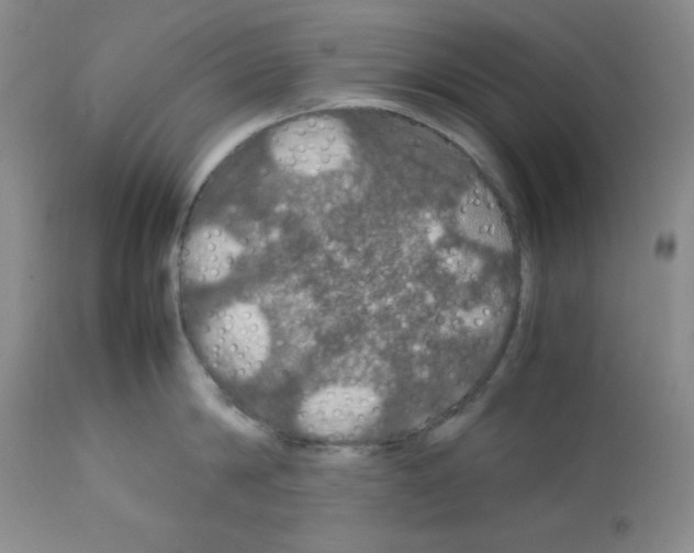 X0000112010814200909141124