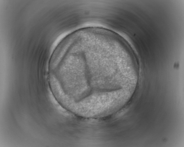 X0000112010815200909141124