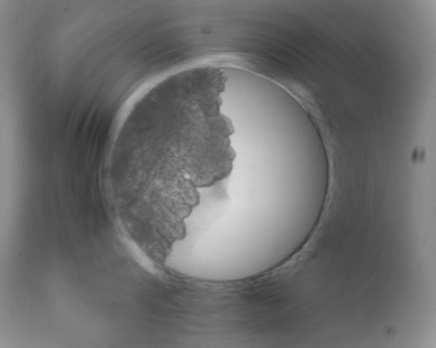 X0000112010816200909141124