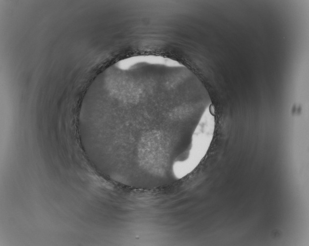 X0000112010817200909141123