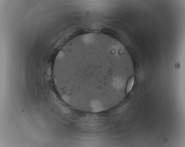 X0000112010818200909141123