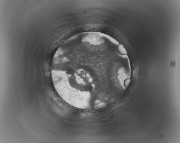 X0000112010819200909141123