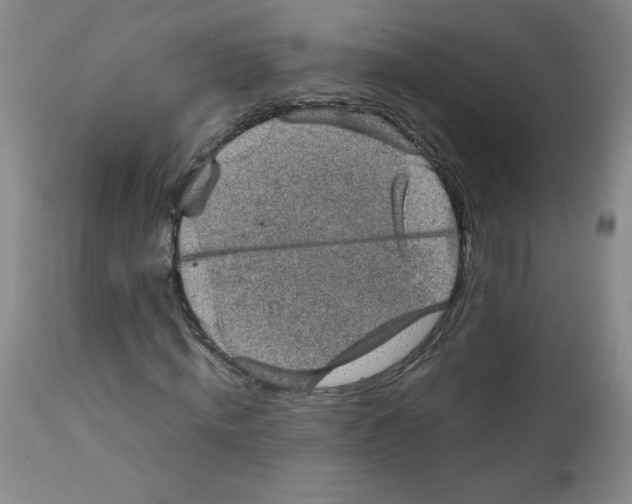 X0000112010820200909141123