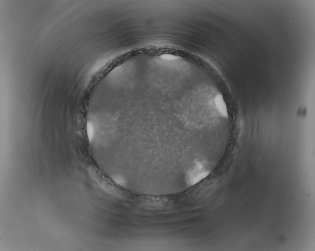 X0000112010823200909141123