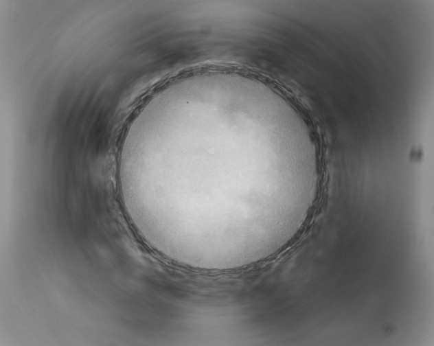X0000112010824200909141123