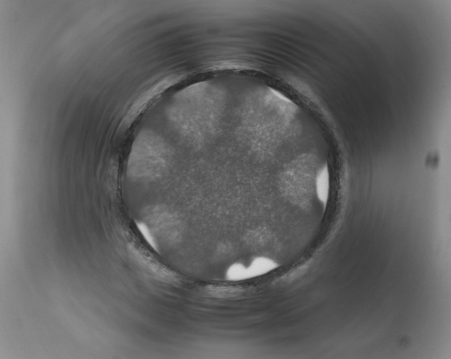 X0000112010825200909141123