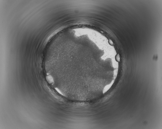X0000112010826200909141123
