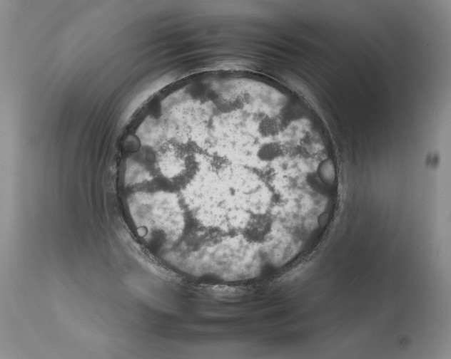 X0000112010827200909141123