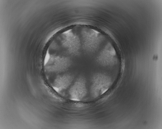 X0000112010829200909141123