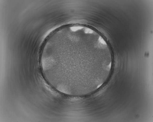 X0000112010830200909141124
