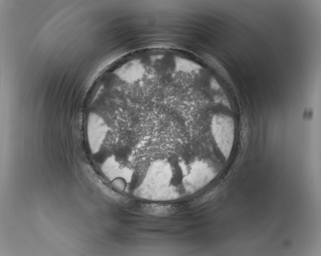 X0000112010831200909141124
