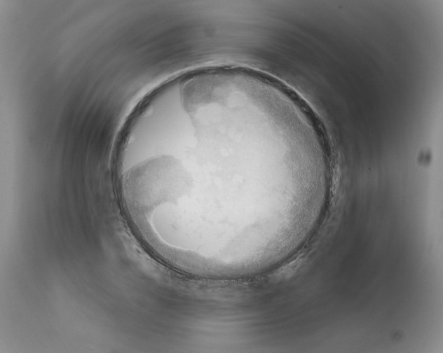 X0000112010832200909141124