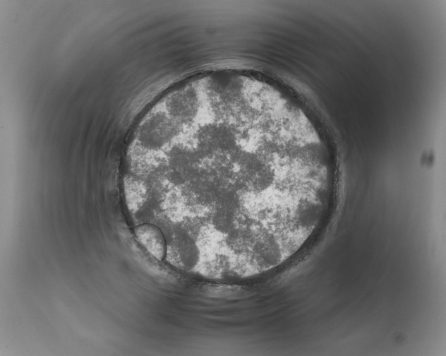 X0000112010833200909141124