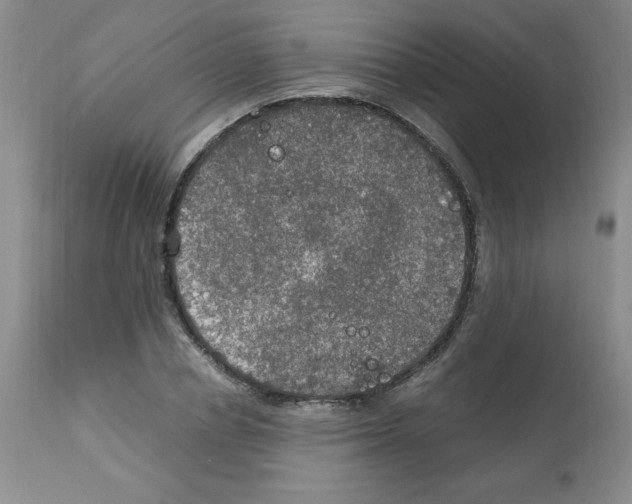 X0000112010834200909141124