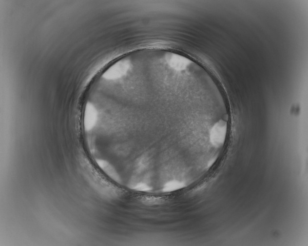 X0000112010835200909141124