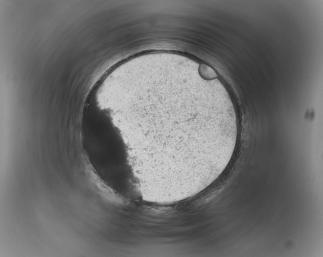 X0000112010837200909141124