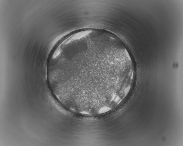 X0000112010838200909141124