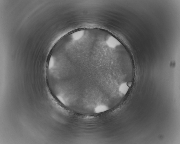 X0000112010839200909141124