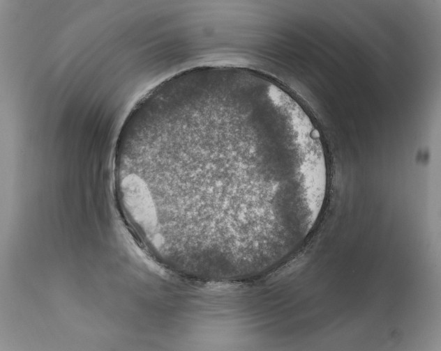 X0000112010840200909141124