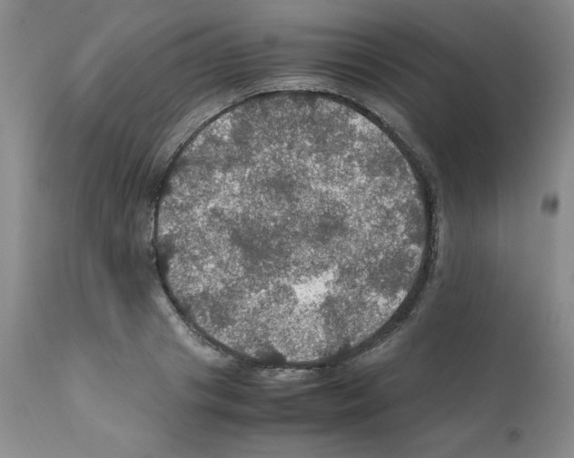 X0000112010841200909141124
