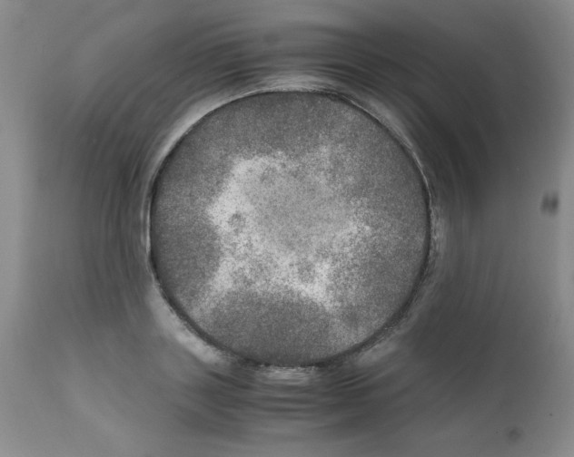 X0000112010843200909141124