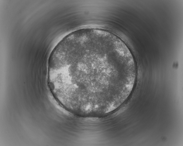 X0000112010844200909141124
