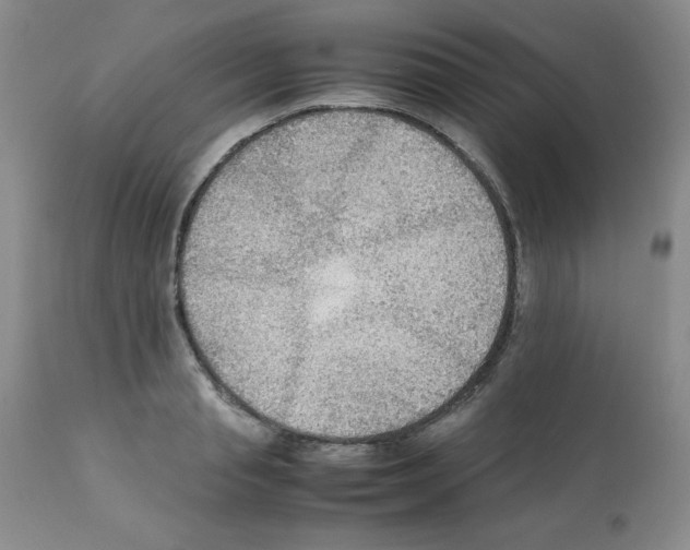 X0000112010845200909141124