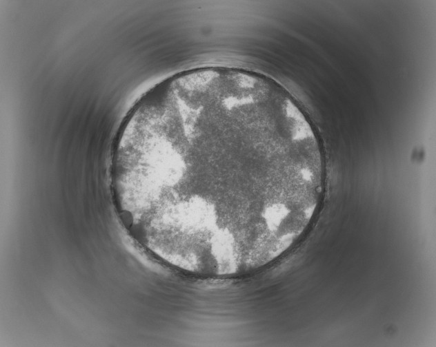 X0000112010846200909141124