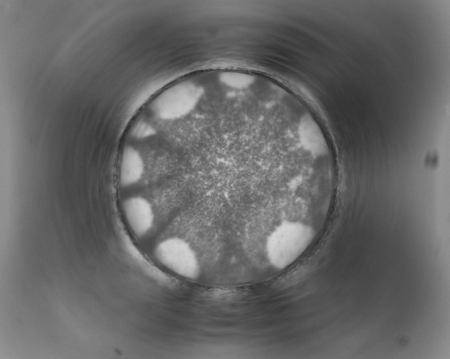 X0000112010847200909141124