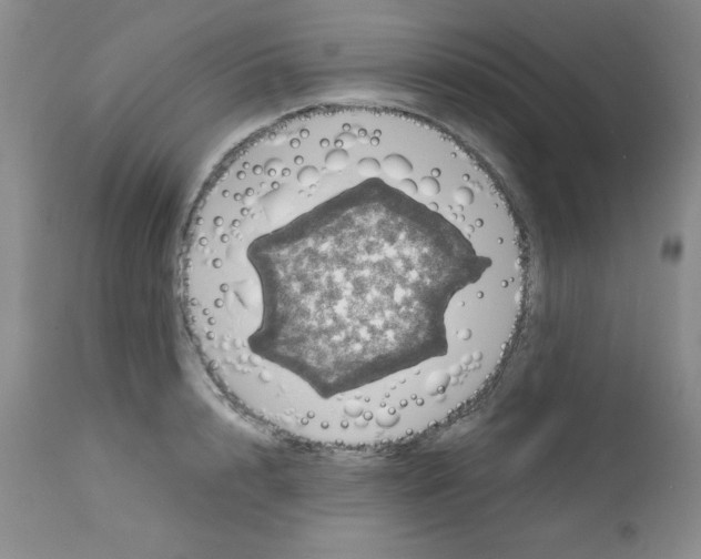 X0000112010848200909141124