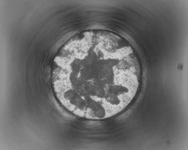 X0000112010849200909141124