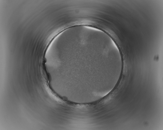 X0000112010850200909141124