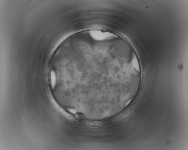 X0000112010851200909141124