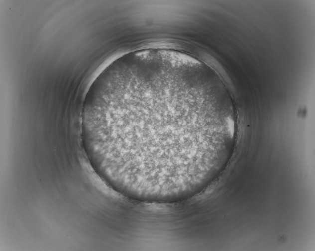 X0000112010852200909141124