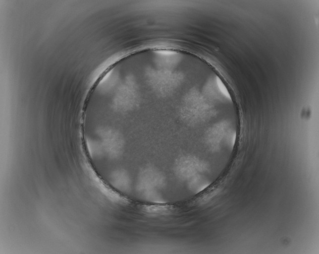 X0000112010853200909141124