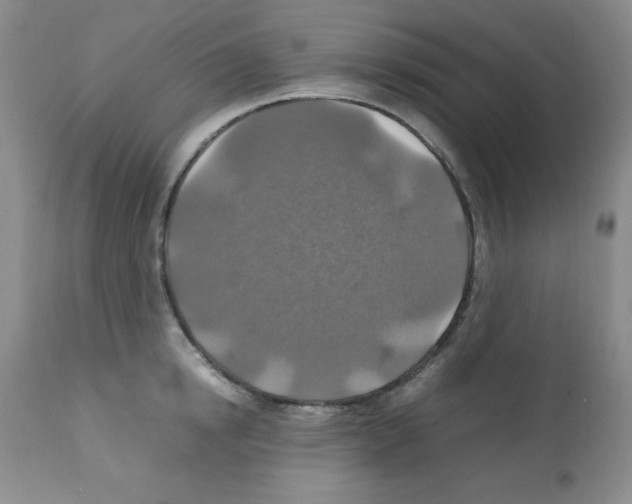X0000112010854200909141124