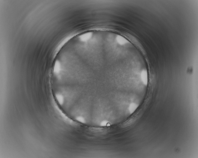 X0000112010855200909141124