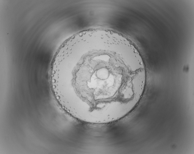 X0000112010856200909141124