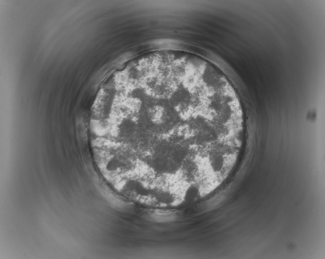 X0000112010857200909141124
