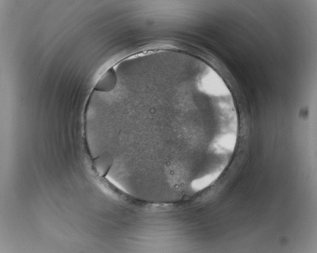 X0000112010858200909141124