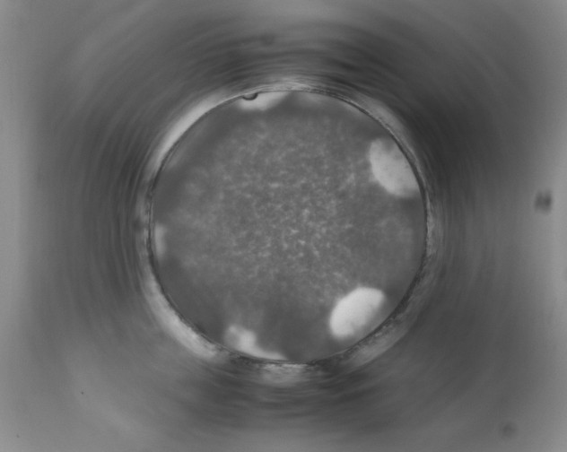 X0000112010859200909141124