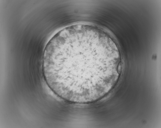 X0000112010860200909141124